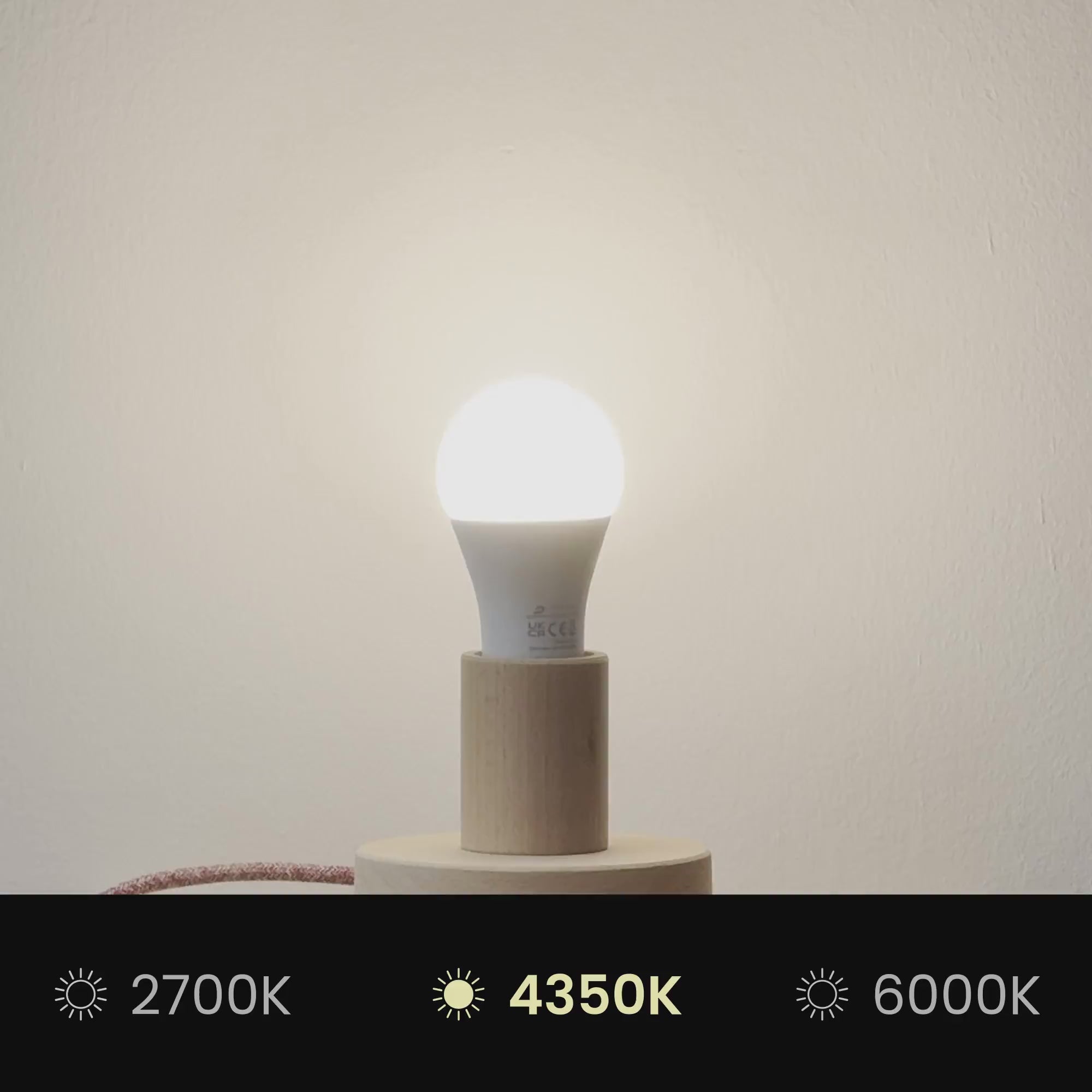 Cargar vídeo: Pantalla Impero S con casquillo E27 para lámpara de mesa o aplique - Fabricada en Italia - Camelot Marrón