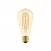 Bombilla LED Dorada Carbón Line Filamento Largo Edison ST64 7W 640Lm E27 2700K Regulable - C54
