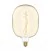 Bombilla LED Dorada Ellipse 170 8,8W 806Lm E27 2200K Regulable - H04