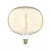 Bombilla LED Dorada Ellipse 220 8,8W 806Lm E27 2200K Regulable - H05