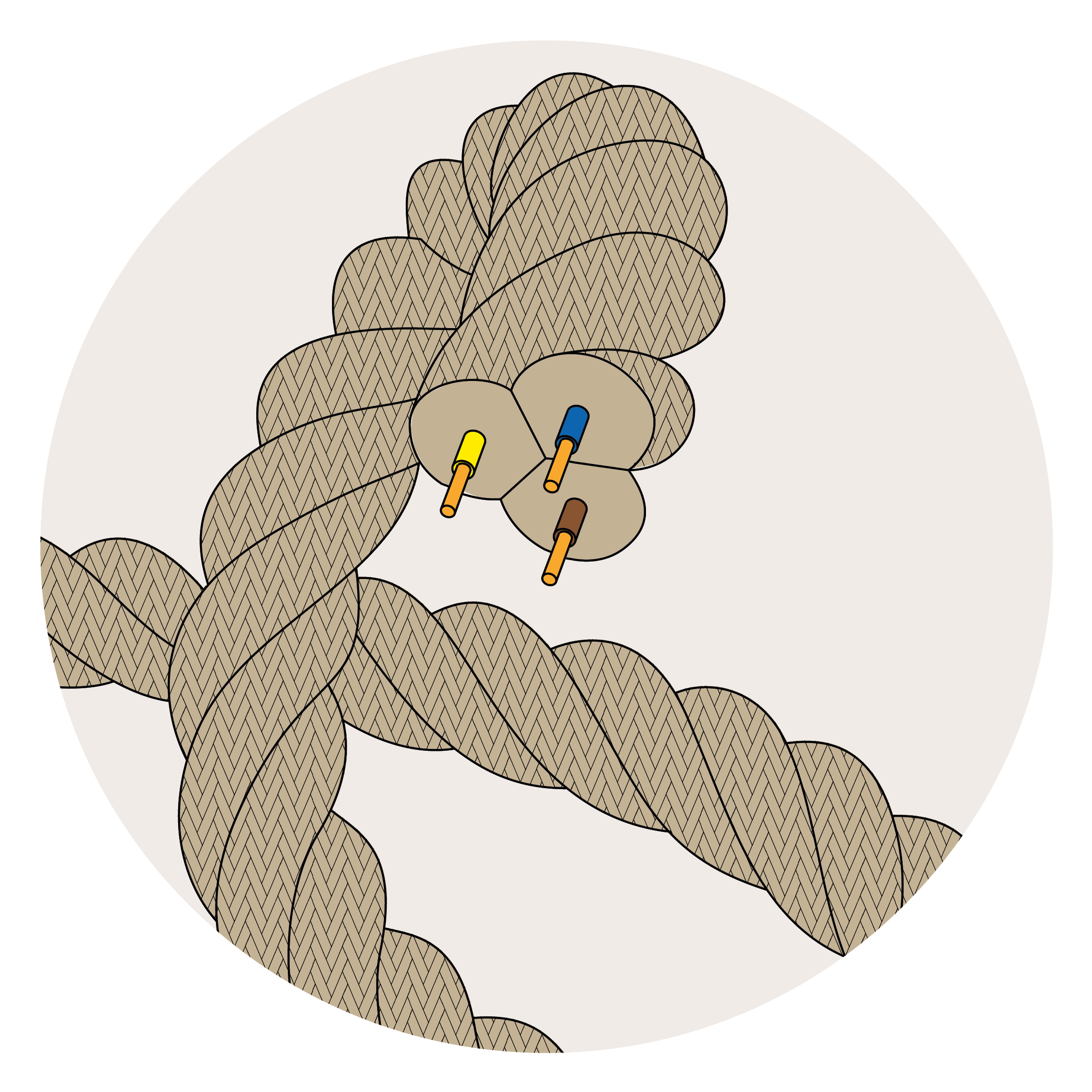 Cordones