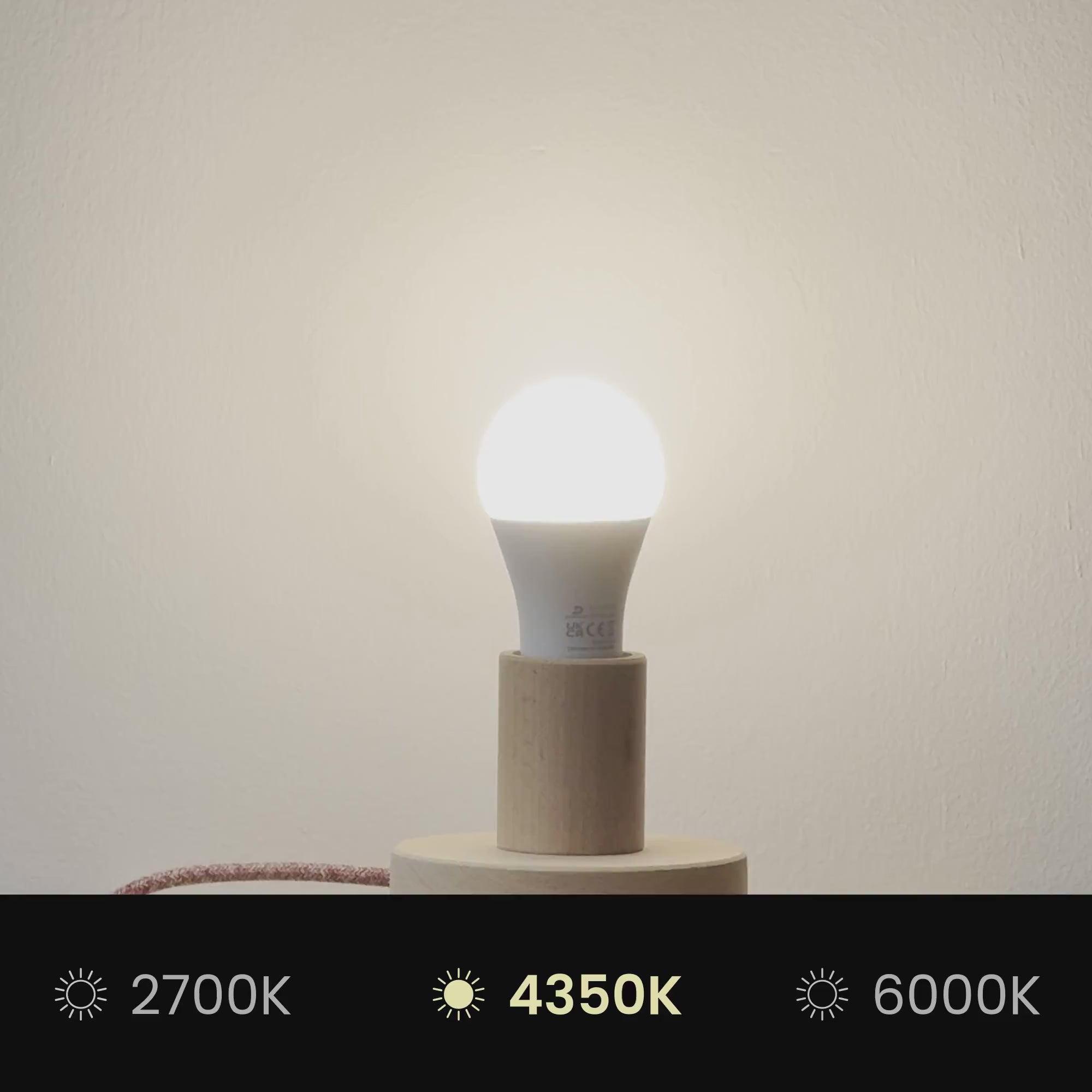 Cargar vídeo: Pantalla Impero L para suspensión con casquillo E27 - Made in Italy - Teletta Verde Dubbio